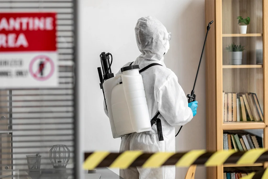 Professional Pest Control Services