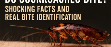 Do cockroaches bite