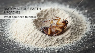 Diatomaceous Earth & Roaches: What You Need to Know
