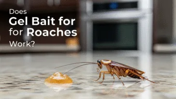 Does Gel Bait for Roaches Work?